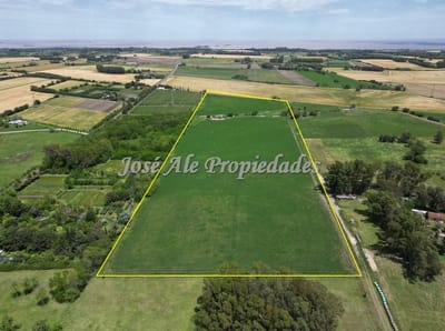 En Arrendamiento Campo Agricola Ganadero De 13 Ha Colonia