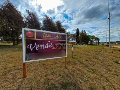 En Venta Terreno De 445 M2 En El Real De San Carlos Colonia