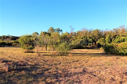 En Venta Fracción De Dos Hectáreas En Colonia Del Sacrament