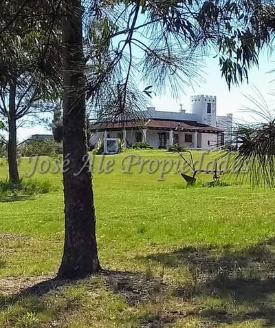 CHACRA DE 9 HA UBICADA EN PASO ANTOLIN, COLONIA.