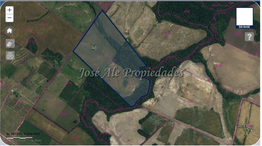EN VENTA CAMPO DE 49 HA UBICADO A 10 KM DE CARMELO, COLONIA