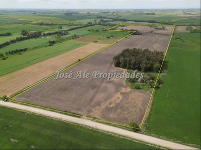 EN VENTA EN  EXCLUSIVIDAD CAMPO DE 41.5 HA, COLONIA