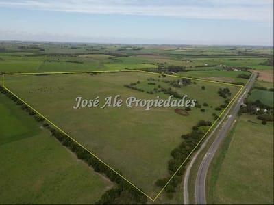 EN VENTA  EXCLUSIVIDAD NUEVO PRECIO! CAMPO DE 33.5 HA UBICADO EN PASO ANTOLIN, COLONIA