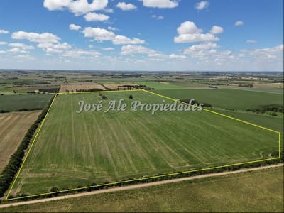 EN VENTA CAMPO 52 HA UBICADO EN COSMOPOLITA, COLONIA