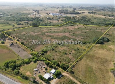 EN VENTA CAMPO DE 19 HA UBICADO PROX A ROSARIO, COLONIA