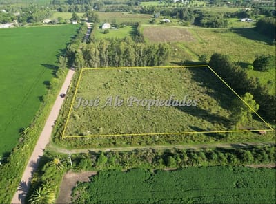 EN VENTA HECTAREA UBICADA A 200M DE LA RUTA 1, COLONIA