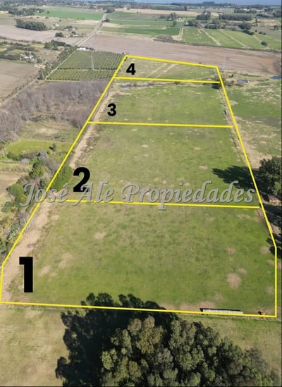 EN VENTA 4 LOTES DE 3HAS C/U SOBRE RUTA 21, COLONIA