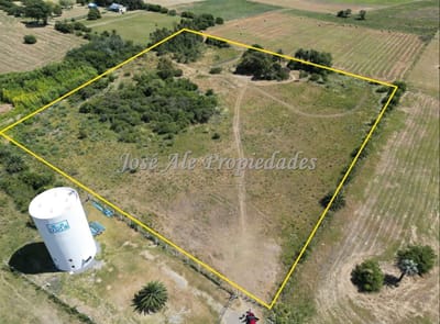 EN VENTA LOTE DE 3HA UBICADO EN LA CONTINUACION DEL BARRIO LOS ALGODONES, COLONIA