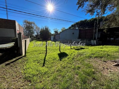 EN ALQUILER TERRENO DE 650M2 UBICADO A METROS DE LA PLAZA DE TOROS, COLONIA.
