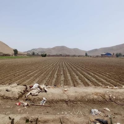 Terreno  Lima