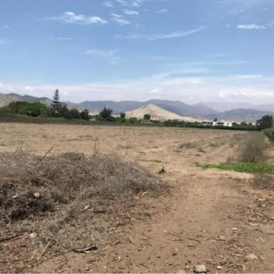 VENTA TERRENO SECTOR EXCLUSIVO DE.MALA 20,000 m2.  OPORTUNIDAD UNICA