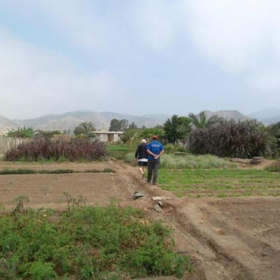 CHILCA  EXCELENTE TERRENO PARA INDUSTRIA ALMACEN