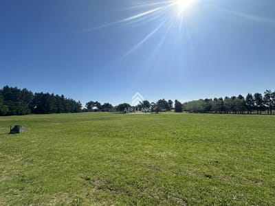Lote en venta, el quijote 5012m2, terreno en venta