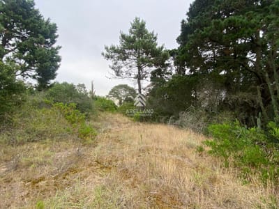 Venta terrenos Piedras del chileno, Punta del este