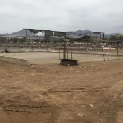 Inversin de Infarto Terreno Industrial de  Ha Ubicado en Lurin