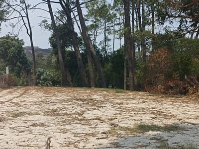 Hermoso terreno próximo al centro!!