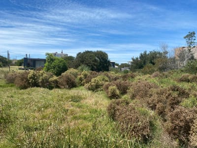 Venta Terreno en La Juanita - Jose Ignacio