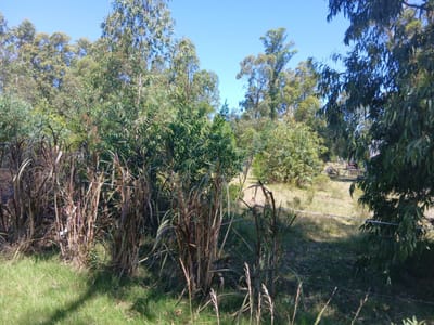 Venta Terreno en Punta Colorada