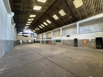 Alquiler local industrial galpon deposito Mercado Modelo comercial