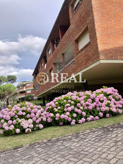 Apartamento en Arcobaleno 1 dormitorio
