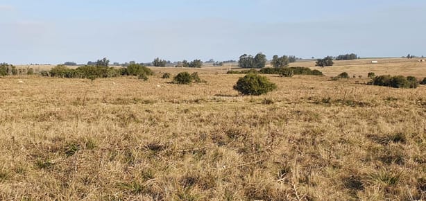 Chacra en venta Jose Ignacio Punta del Este