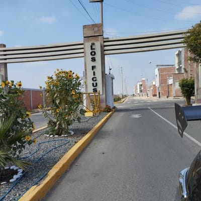 Venta de lote urbano  Urb Los Ficus de Pimentel