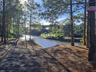 Terreno en venta  - PUNTA BALLENA