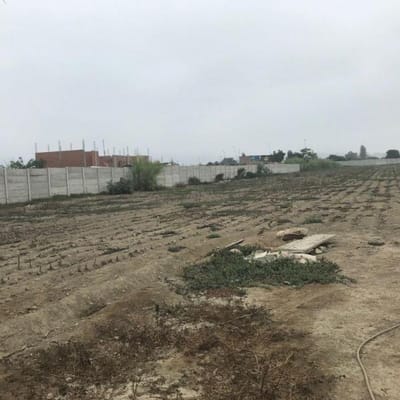 GRAN OCASIÓN: Vendo Terreno Nuevo Imperial de Cañete 11,290 Mts.2 CERCADO