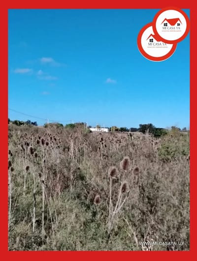 Venta Campo Paso De La Arena a metros de ruta 1.