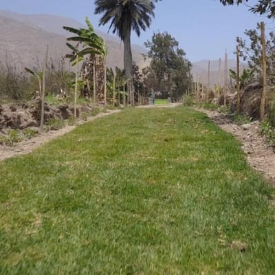 TERRENOS INDEPENDIZADOS, 1500M2. LOS CÓNDORES DE CALANGO