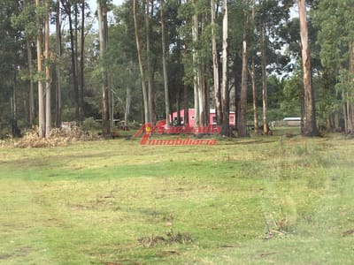 Chacra en La Pataia - Punta Ballena