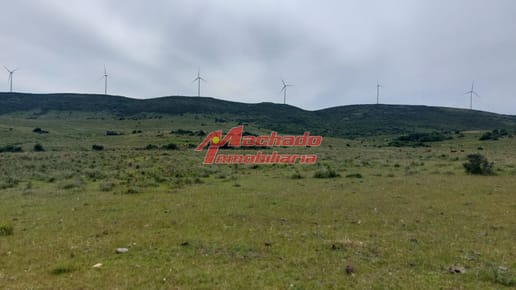 Venta de chacra de 5 hectáreas en Ruta 39