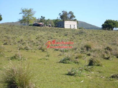 Campo 96 has en Carape cuenta con costa de arroyo.