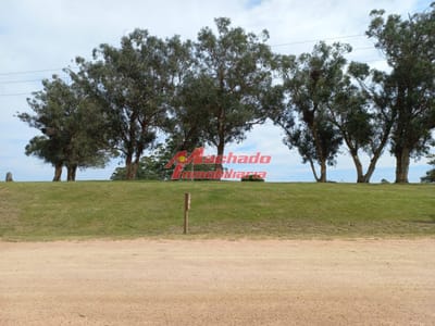 Terreno en venta de 5000 m2 en El Quijote