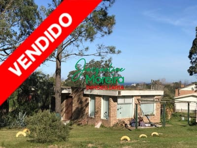 Oportunidad de Inversión: 1 hectárea Urbana con casa y galpones.