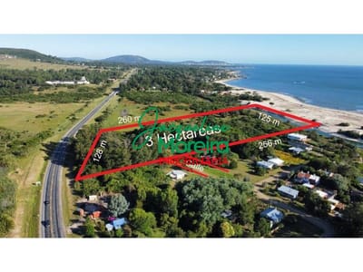 3.3 Hectareas: Ultima tierra en la zona con costa directa a la playa