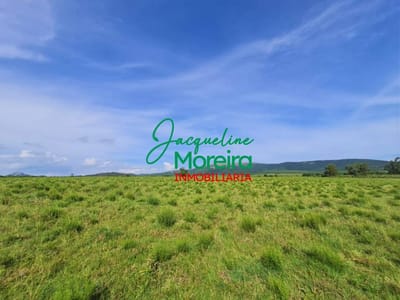 EXCELENTE OPORTUNIDAD DE INVERSION 20 HECTAREAS EN VENTA CERROS AZULES