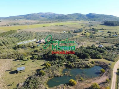 CABAÑAS DEL BETEL, son 2 en una chacra de 6 hec. con hermoso entorno de naturaleza y aguadas