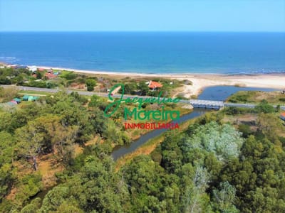 5 hectáreas en Las Flores frente a la playa, aptas complejo turístico o fraccionamiento.