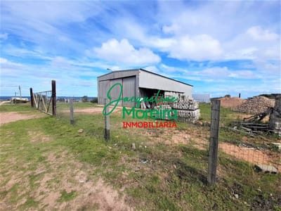 Terreno en venta con importante galpón en BARRA DE PORTEZUELO, PIRIAPOLIS