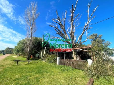 **C101494** CABAÑAS LOS CLAVELES en venta Las Flores