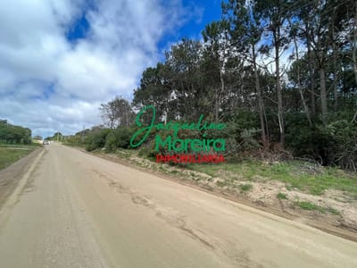 TERRENO EN VENTA EN PUNTA COLORADA