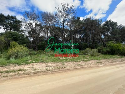 TERRENO EN VENTA EN PUNTA COLORADA