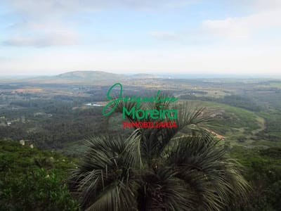 CHACRAS DE LA BODEGA. CERRO PAN DE AZUCAR.