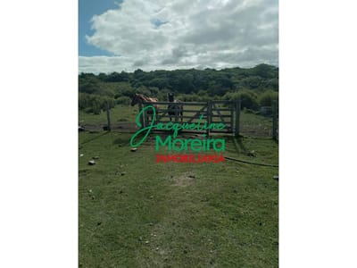 CHACRA "LA GATEADA" EN PAN DE AZUCAR, 7 HECTAREAS A POCOS MINUTOS DE LA CIUDAD.