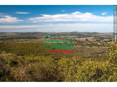 CAMPO de 95 Hectareas en Maldonado zona Pueblo Eden. Apto para fraccionar!!!