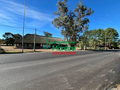 **L101017** AMPLIO LOCAL EN ALQUILER Solís.