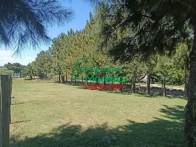 TERRENO ESQUINERO EN TIERRA CALMA. PIRIAPOLIS.