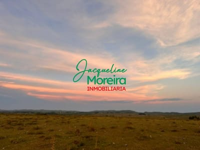 64 HEC de CAMPO APTO para fraccionar, PASO DEL GUAYABO, Ruta 39 a 45 minutos Punta del Este