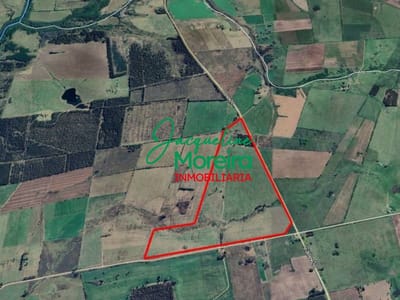 *CH101165* VENTA DE 69 HAS. DE CAMPO, EN UN ENTORNO UNICO, SOLIS.
